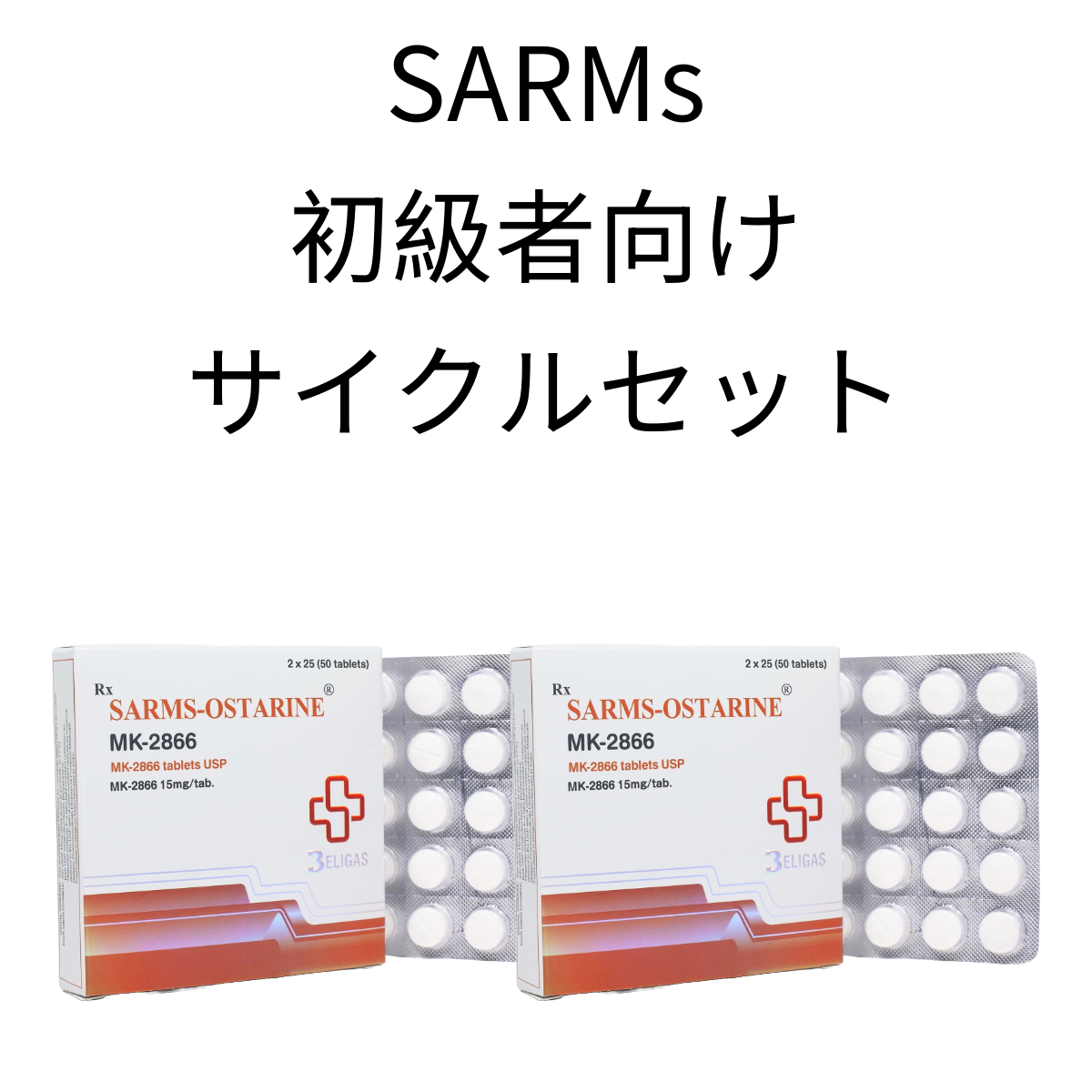 SARMs・初級者向けサイクルセット