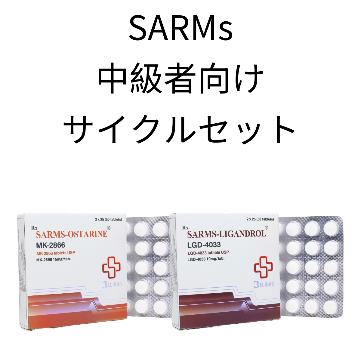 SARMs・中級者向けサイクルセット