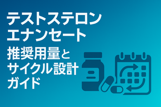 テストステロンエナンセート推奨用量とサイクル設計ガイド【500 mg×12週】
