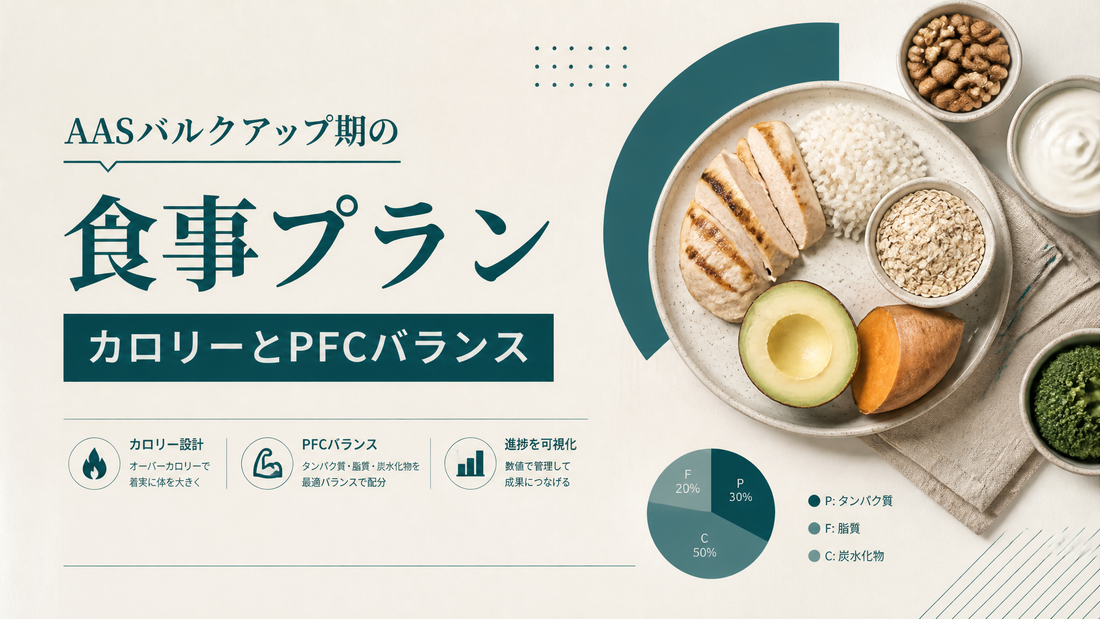 AASバルクアップ期の食事プラン カロリーとPFCバランス