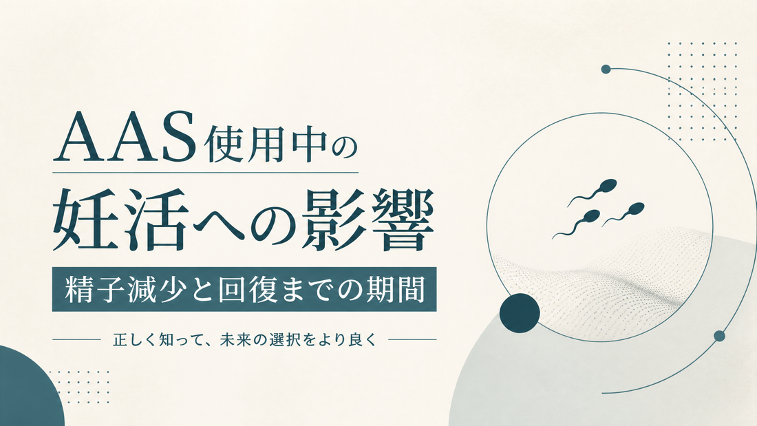 AAS使用中の妊活への影響 精子減少と回復までの期間