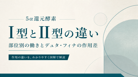 5α還元酵素I型とII型の違い｜部位別働きとデュタ・フィナの作用差