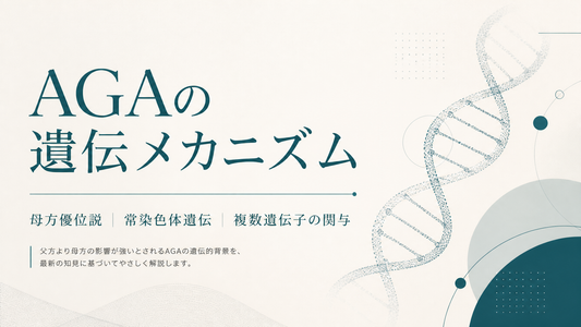 AGAの遺伝メカニズム｜母方優位説・常染色体遺伝・複数遺伝子の関与