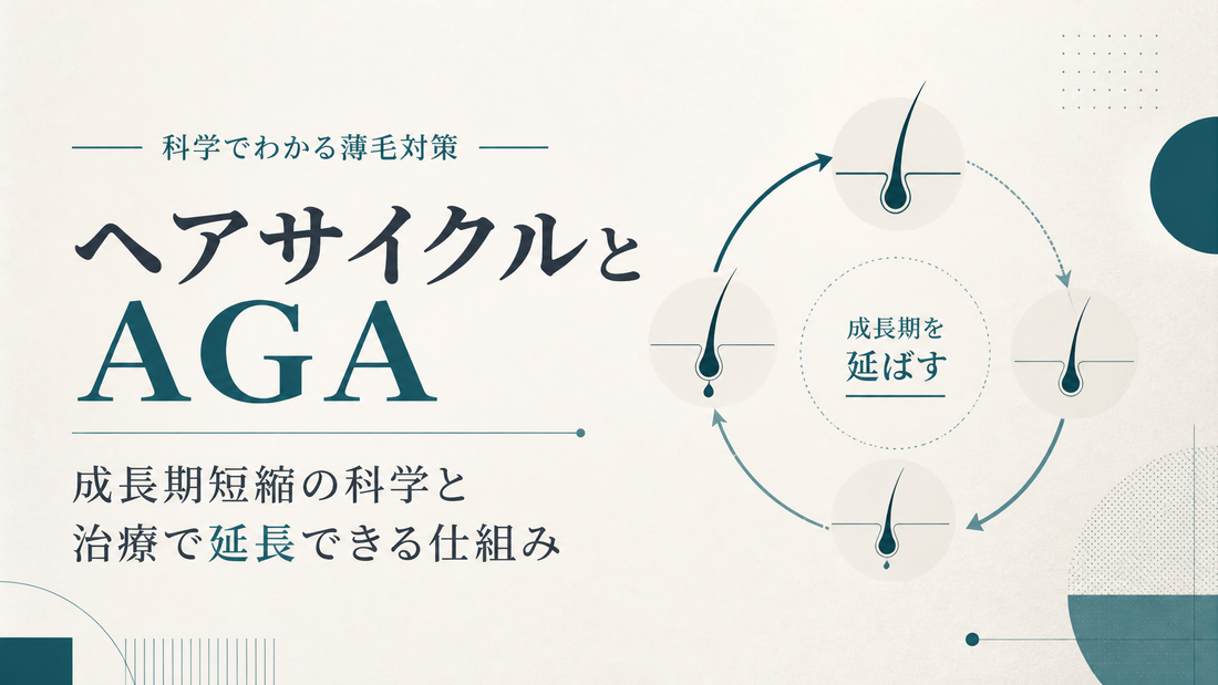 ヘアサイクルとAGA｜成長期短縮の科学と治療で延長できる仕組み