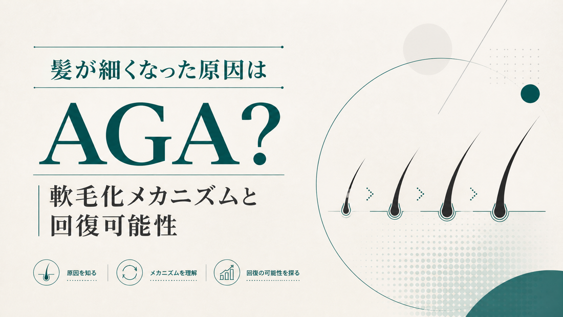 髪が細くなった原因はAGA？｜軟毛化メカニズムと回復可能性
