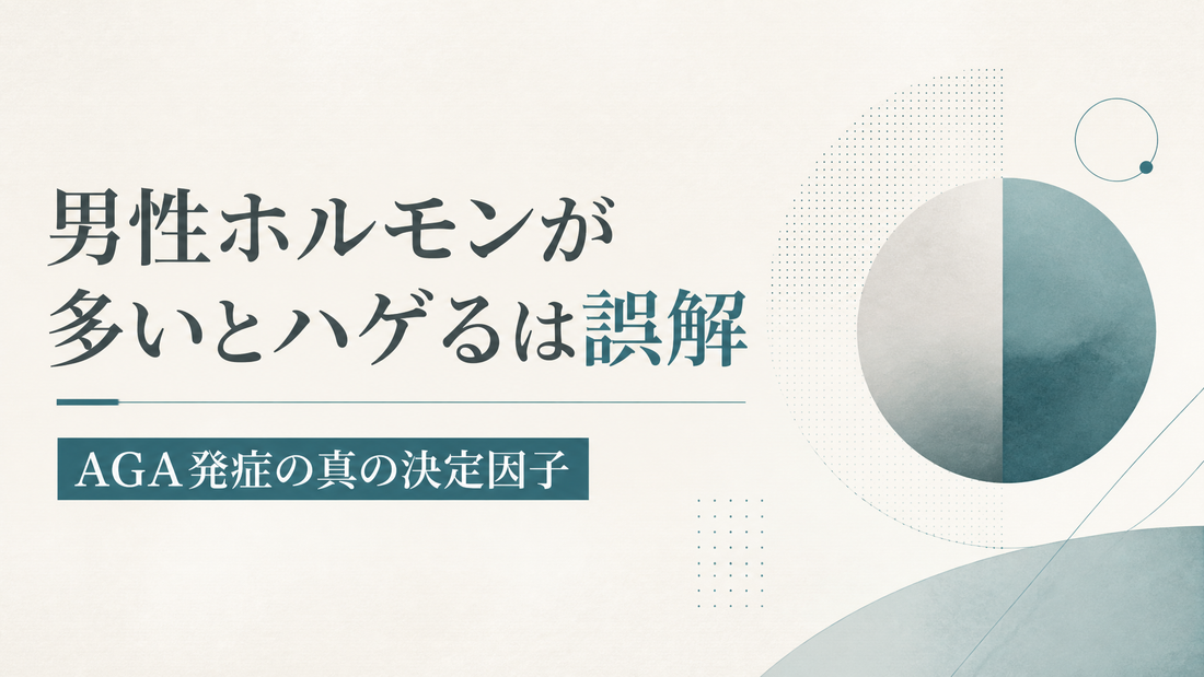 男性ホルモンが多いとハゲるは誤解｜AGA発症の真の決定因子