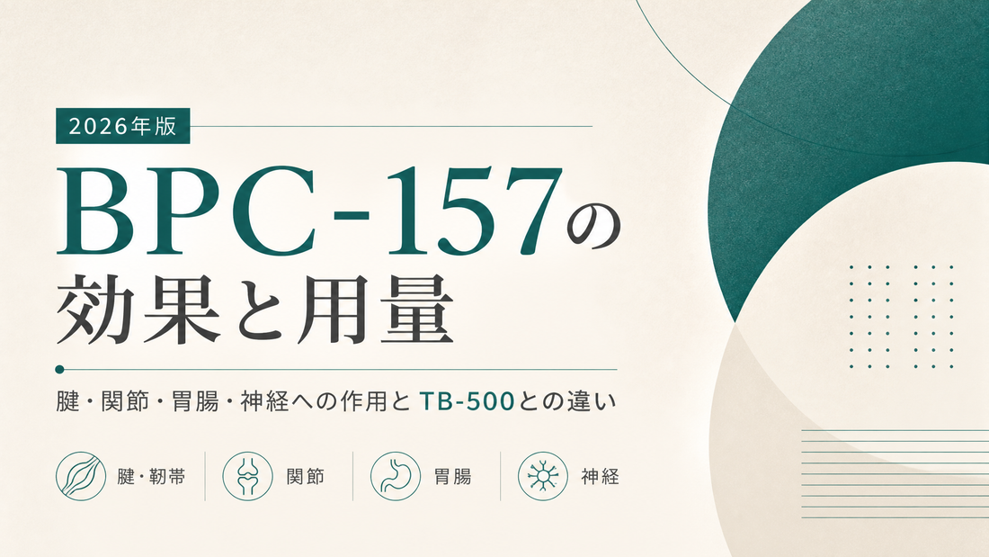 BPC-157の効果と用量｜腱・関節・胃腸・神経への作用とTB-500との違い【2026年版】