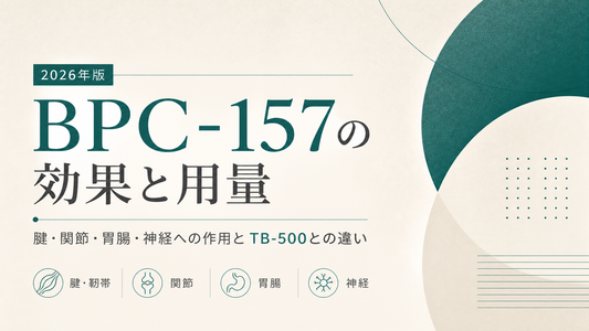 BPC-157の効果と用量｜腱・関節・胃腸・神経への作用とTB-500との違い【2026年版】
