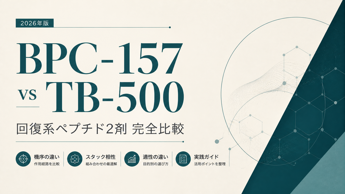 BPC-157 vs TB-500｜回復系ペプチド2剤完全比較・機序差・スタック相性・適性差【2026年版】