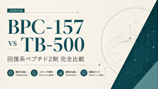 BPC-157 vs TB-500｜回復系ペプチド2剤完全比較・機序差・スタック相性・適性差【2026年版】