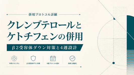 クレンブテロールとケトチフェンの併用プロトコル詳細｜β2受容体ダウン対策と4週設計