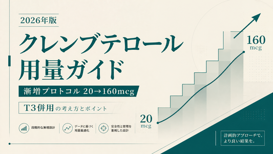 クレンブテロール用量ガイド｜漸増プロトコル20→160mcgとT3併用【2026年版】