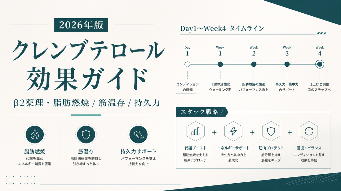 クレンブテロール効果ガイド｜β2薬理・脂肪燃焼/筋温存/持久力・Day1〜Week4タイムライン・スタック【2026年版】