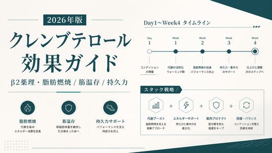 クレンブテロール効果ガイド｜β2薬理・脂肪燃焼/筋温存/持久力・Day1〜Week4タイムライン・スタック【2026年版】