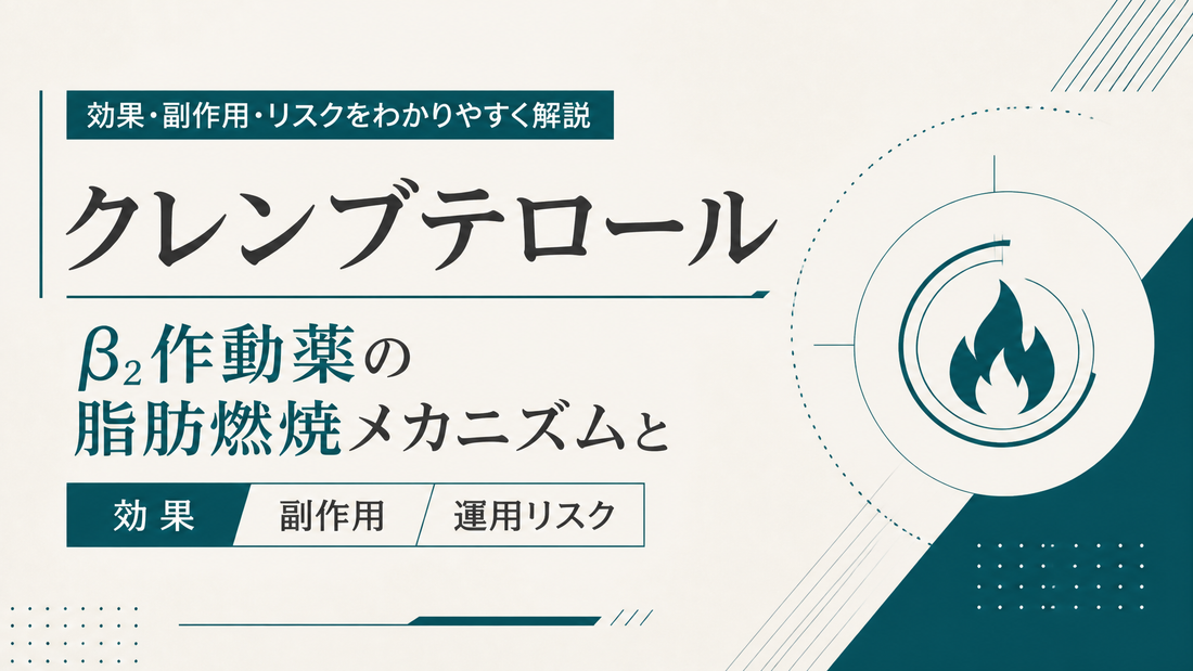 クレンブテロールの効果と副作用を解説｜β2作動薬の脂肪燃焼メカニズムと運用リスク