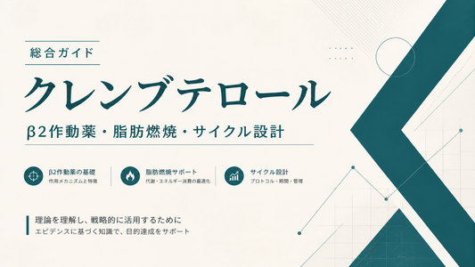 クレンブテロール総合ガイド｜β2作動薬・脂肪燃焼・サイクル設計