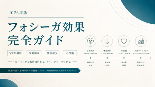 フォシーガ効果完全ガイド｜SGLT2阻害・尿糖排泄・体重減少・心保護・タイムライン【2026年版】