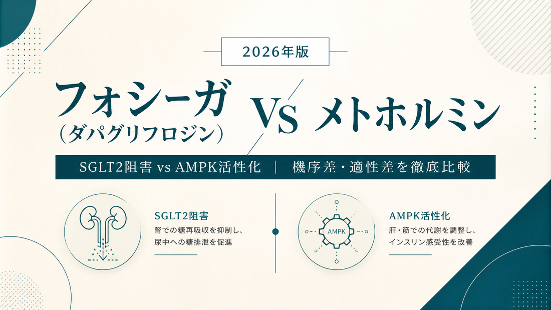 フォシーガ(ダパグリフロジン) vs メトホルミン｜SGLT2阻害vsAMPK活性化・機序差・適性差【2026年版】