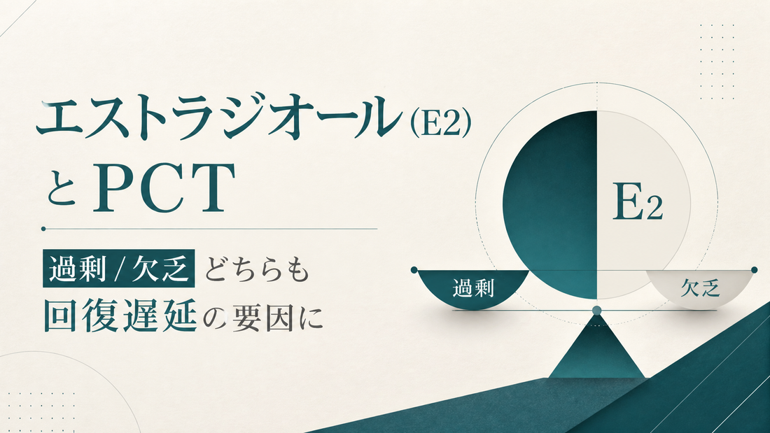 エストラジオール(E2)とPCT｜過剰/欠乏どちらも回復遅延要因