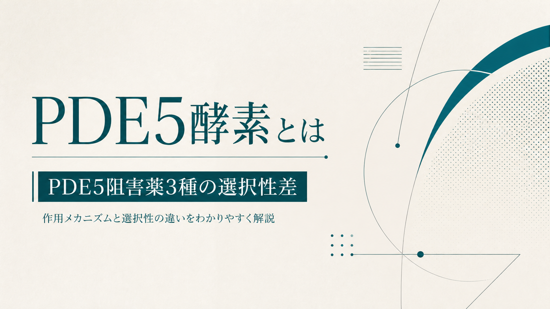 PDE5酵素とは｜PDE5阻害薬3種の選択性差
