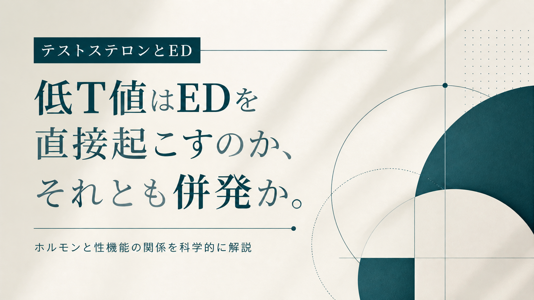 テストステロンとED｜低T値が直接EDを起こすか・併発か