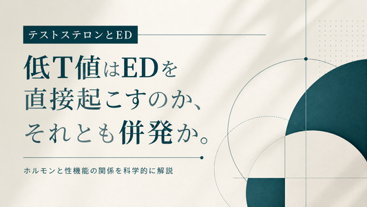 テストステロンとED｜低T値が直接EDを起こすか・併発か