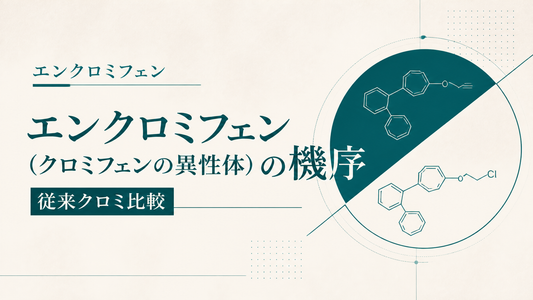 エンクロミフェン(クロミフェンの異性体)の機序｜従来クロミ比較