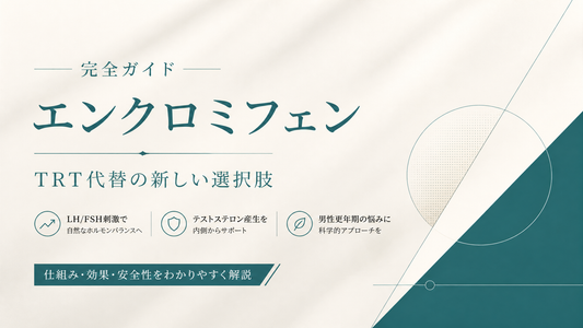 エンクロミフェン完全ガイド｜TRT代替・LH/FSH刺激・男性更年期治療選択肢
