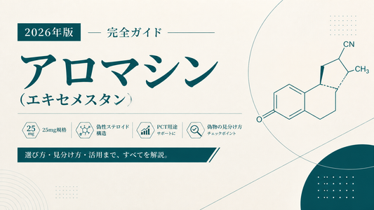 アロマシン(エキセメスタン)購入完全ガイド｜25mg規格・偽性ステロイド構造・PCT用途・偽物見分け【2026年版】