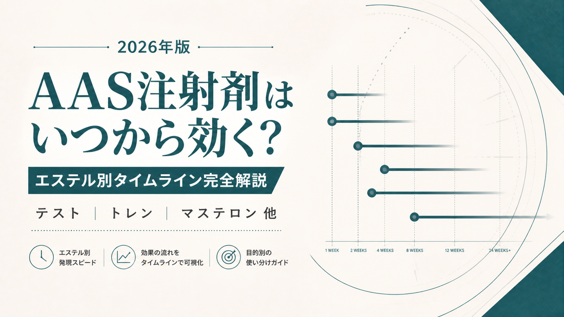 AAS注射剤はいつから効く?エステル別タイムライン完全解説｜テスト/トレン/マステロン他【2026年版】