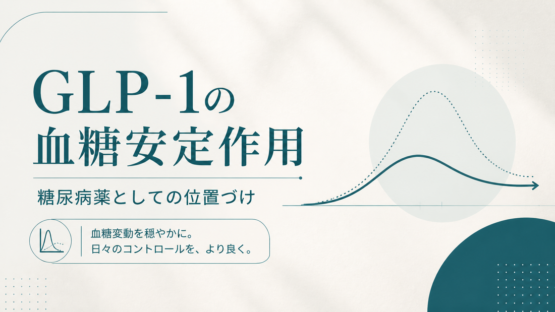 GLP-1の血糖安定作用｜糖尿病薬としての位置づけ