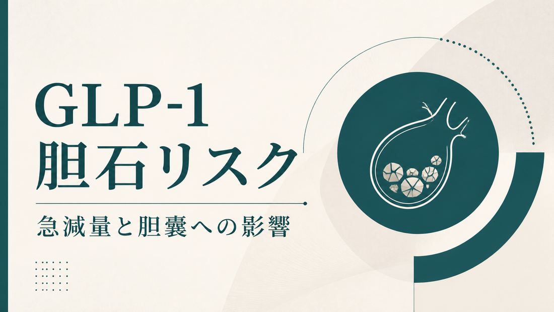 GLP-1胆石リスク｜急減量と胆嚢への影響