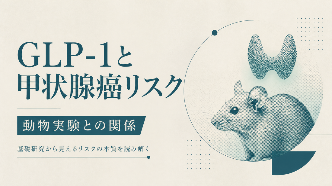 GLP-1と甲状腺癌リスク 動物実験との関係