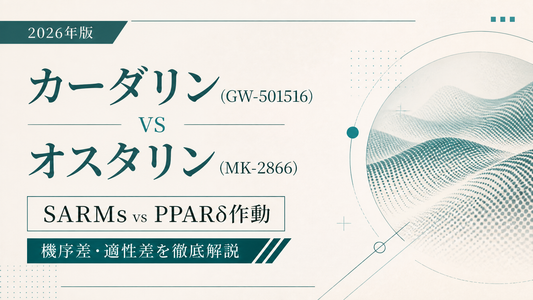 カーダリン(GW-501516) vs オスタリン(MK-2866)｜SARMs vs PPARδ作動・機序差・適性差【2026年版】