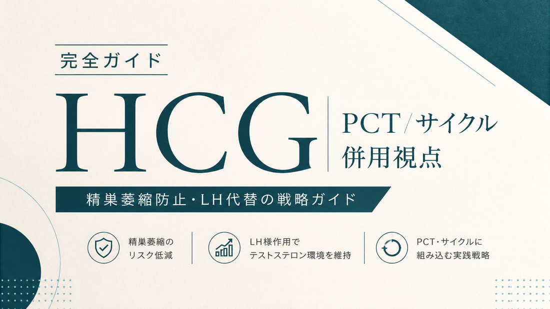 HCG完全ガイド(PCT/サイクル併用視点)｜精巣萎縮防止・LH代替