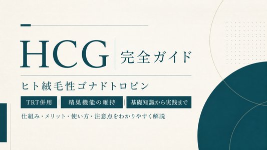 HCG完全ガイド｜ヒト絨毛性ゴナドトロピン・TRT併用・精巣機能維持