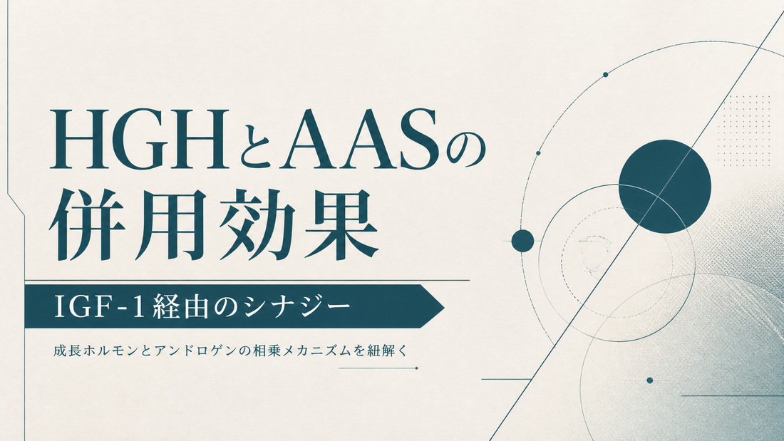 HGHとAASの併用効果 IGF-1経由のシナジー