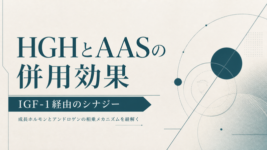HGHとAASの併用効果 IGF-1経由のシナジー
