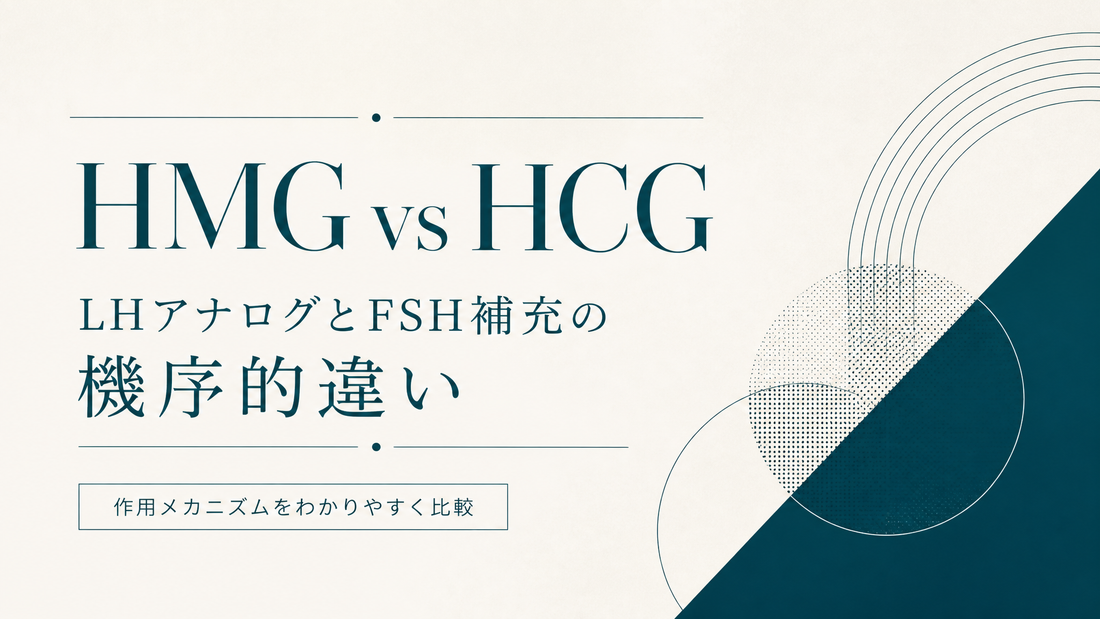 HMG vs HCG｜LHアナログとFSH補充の機序的違い