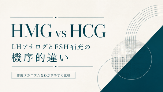 HMG vs HCG｜LHアナログとFSH補充の機序的違い