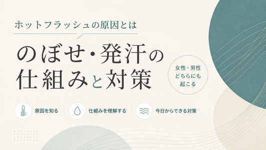ホットフラッシュの原因とは｜女性・男性に起こるのぼせ・発汗の仕組みと対策