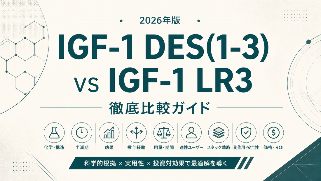 IGF-1 DES(1-3) vs IGF-1 LR3 完全比較｜化学・半減期・効果・投与経路・用量・適性ユーザー・スタック・副作用・価格 ROI まで【2026年版】