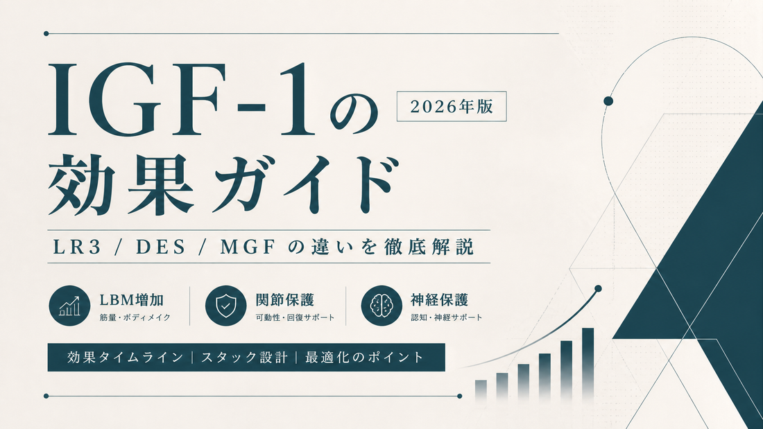 IGF-1の効果ガイド｜LR3/DES/MGFの違い・LBM/関節保護/神経保護・タイムライン・スタック設計【2026年版】