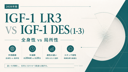 IGF-1 LR3 vs IGF-1 DES(1-3)｜全身性vs局所性・半減期20h vs 20min・適性差・スタック相性【2026年版】