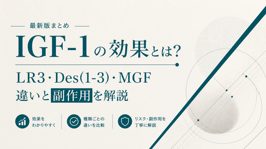 IGF-1の効果とは?LR3・Des(1-3)・MGFの違いと副作用を解説