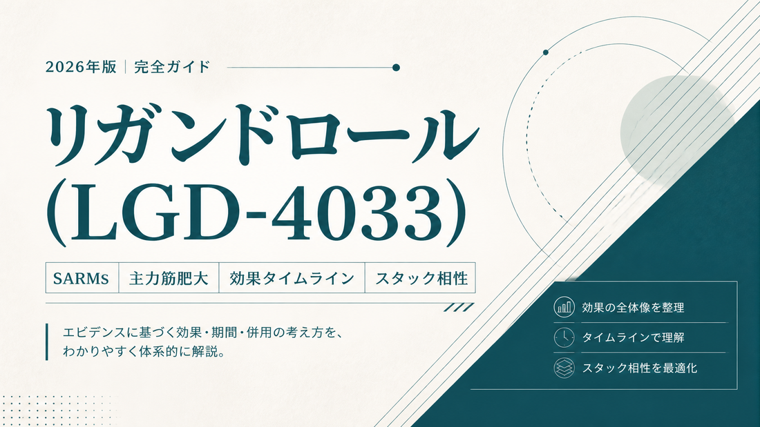 リガンドロール(LGD-4033)効果完全ガイド｜SARMs主力筋肥大・タイムライン・スタック相性【2026年版】