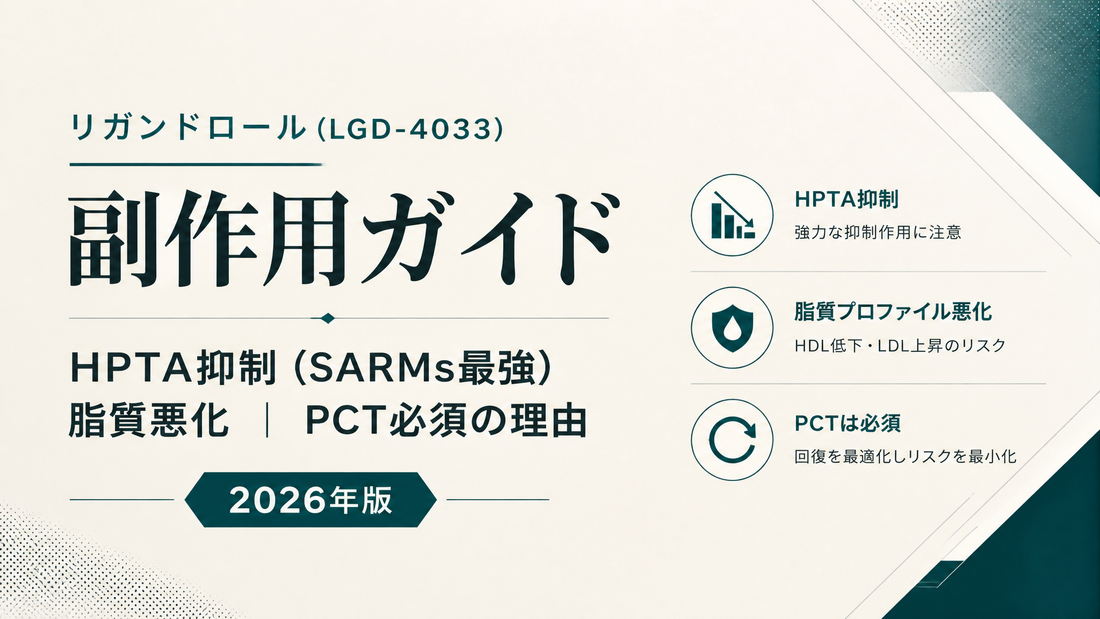 リガンドロール(LGD-4033)副作用ガイド｜HPTA抑制(SARMs最強)・脂質悪化・PCT必須の理由【2026年版】