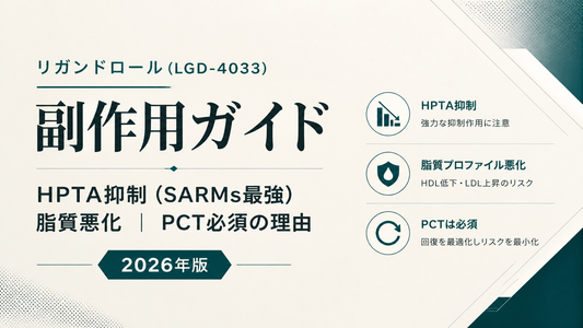 リガンドロール(LGD-4033)副作用ガイド｜HPTA抑制(SARMs最強)・脂質悪化・PCT必須の理由【2026年版】