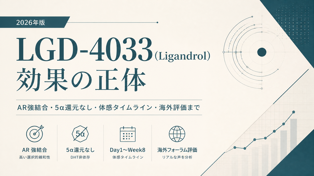 リガンドロール(LGD-4033)効果の体感ガイド｜Day1〜Week8タイムライン・用量別違い・失敗例【2026年版】