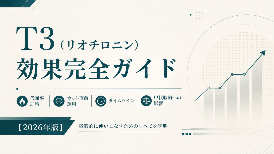 T3(リオチロニン)効果完全ガイド｜代謝率即増・カット直前運用・タイムライン・甲状腺軸への影響【2026年版】